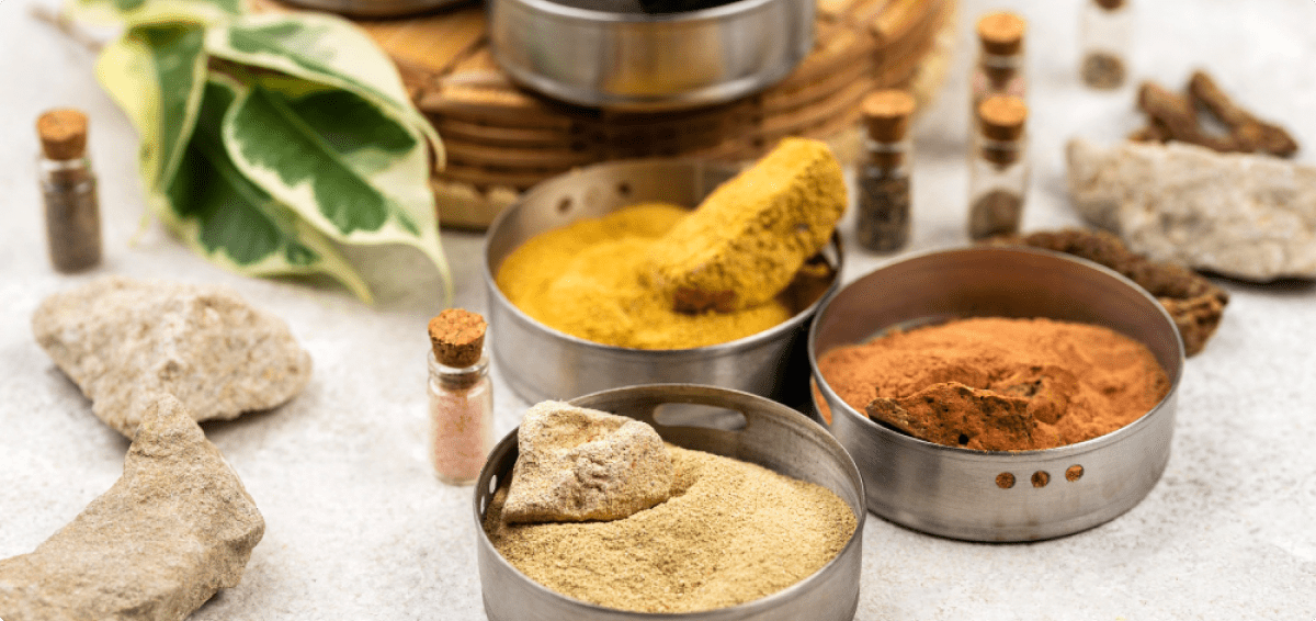 A Comprehensive Guide to the Immune System in Ayurveda